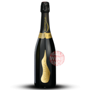 BOTTEGA IL VINO DEI PROSECO - BRUT(1)