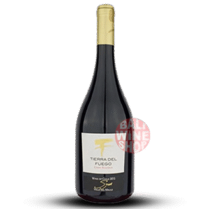 TIERRA DEL FUEGO RESERVA SYRAH(1)