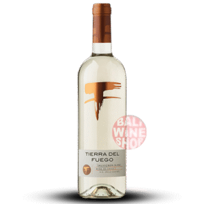 TIERRA DEL FUEGO SAUVIGNON BLANC(1)